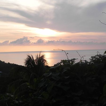 Villa Mielecajou, Entre Mer Et Montagne Deshaies Ngoại thất bức ảnh