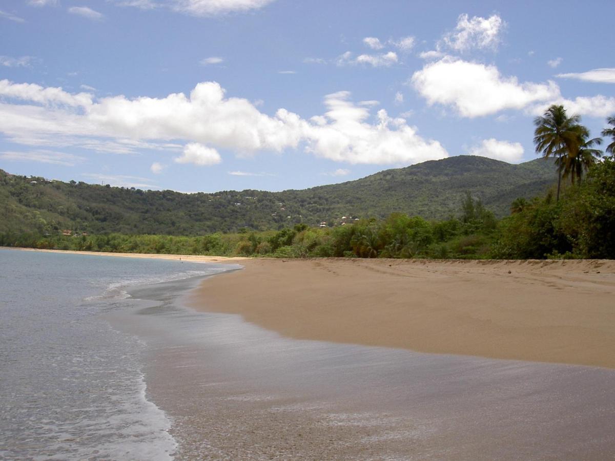 Villa Mielecajou, Entre Mer Et Montagne Deshaies Ngoại thất bức ảnh